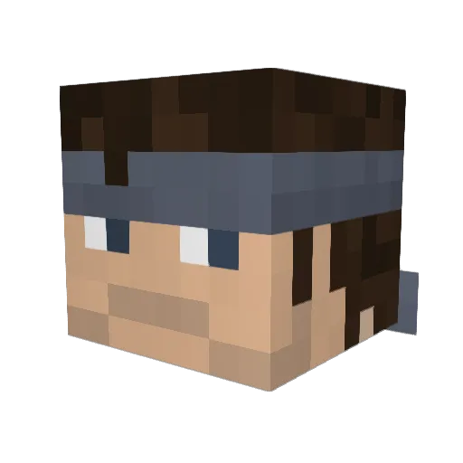 NotBrian1 Minecraft avatar head, 3D render