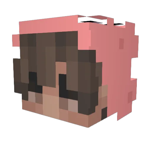 NotBridgey Minecraft avatar head, 3D render
