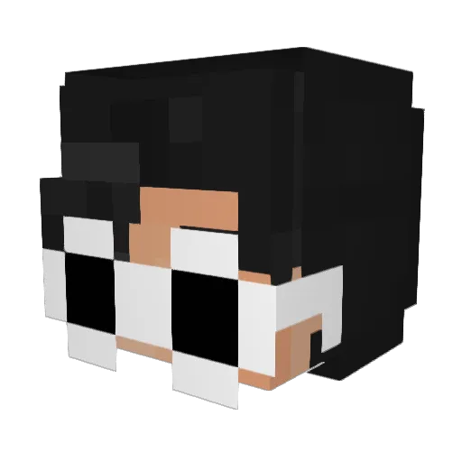 NotCaptainn Minecraft avatar head, 3D render