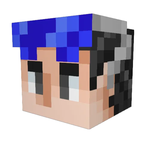 NotCatchy011 Minecraft avatar head, 3D render