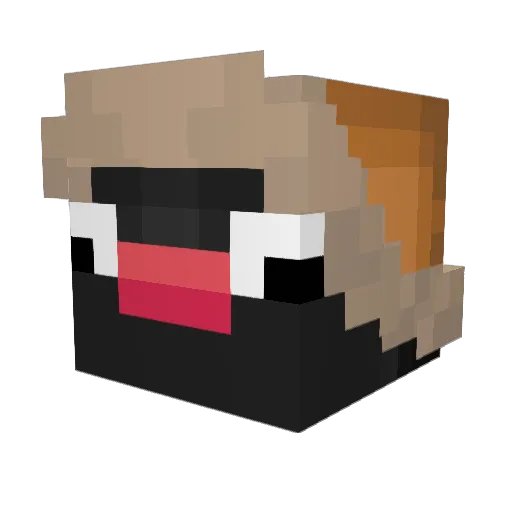 NotCbop Minecraft avatar head, 3D render