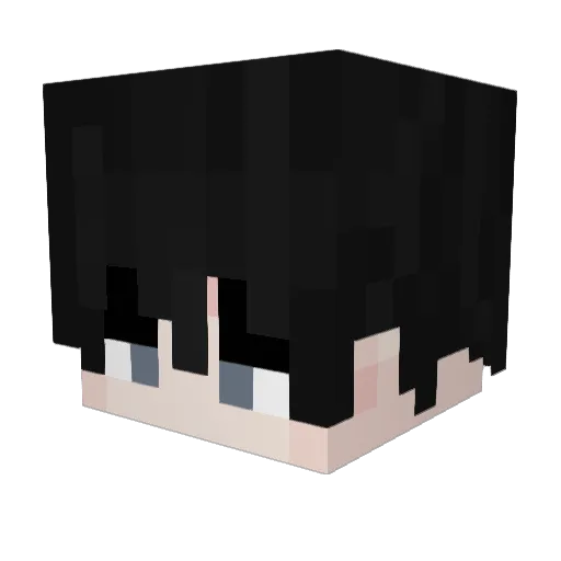 NotChanky Minecraft avatar head, 3D render