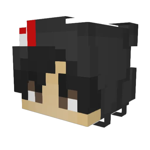 NotCheckers24 Minecraft avatar head, 3D render