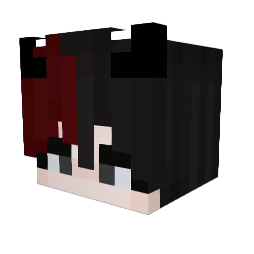 NotConar Minecraft avatar head, 3D render