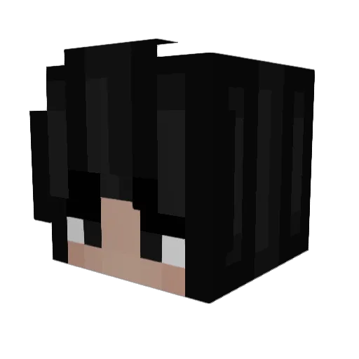 NotDYL58 Minecraft avatar head, 3D render