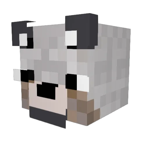 NotDamul Minecraft avatar head, 3D render