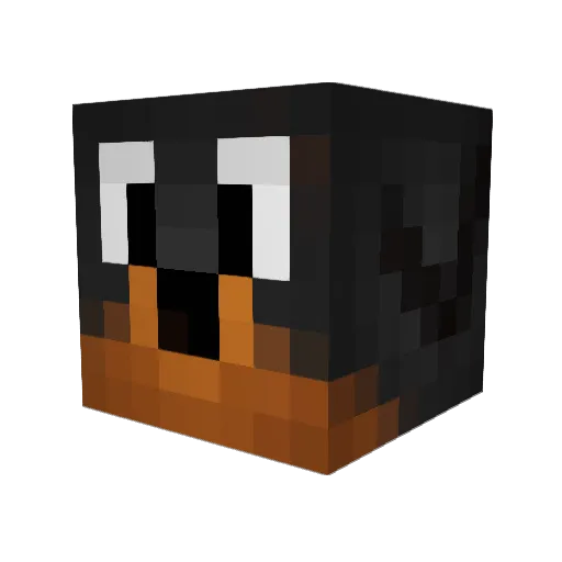 NotDanNPDog Minecraft avatar head, 3D render