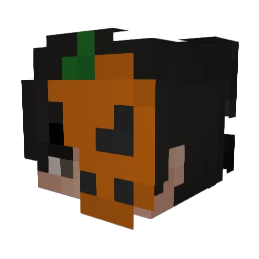 NotDaniYT Minecraft avatar head, 3D render