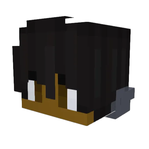 NotDboy Minecraft avatar head, 3D render