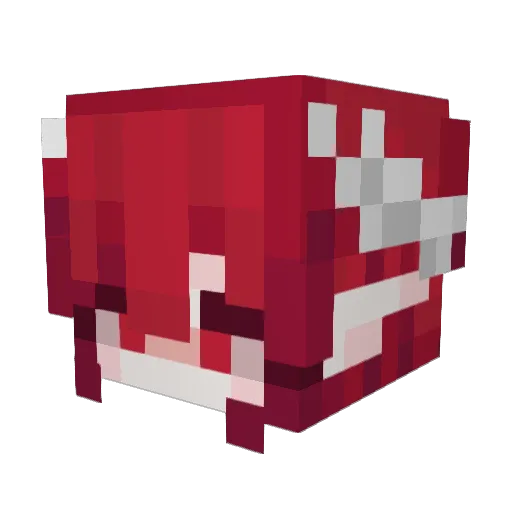NotDevw Minecraft avatar head, 3D render
