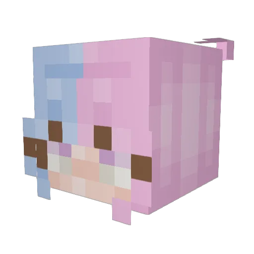 NotDigby Minecraft avatar head, 3D render