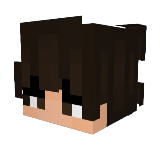 NotDonuts Minecraft avatar head, 3D render