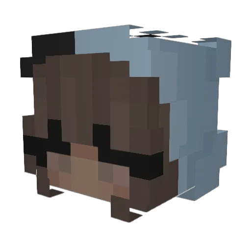 NotElora_ Minecraft avatar head, 3D render