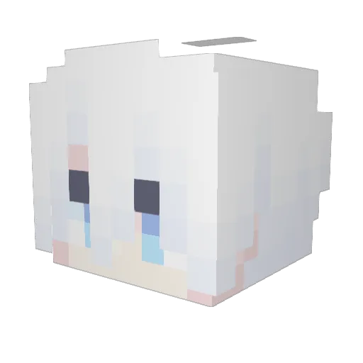NotEnV Minecraft avatar head, 3D render