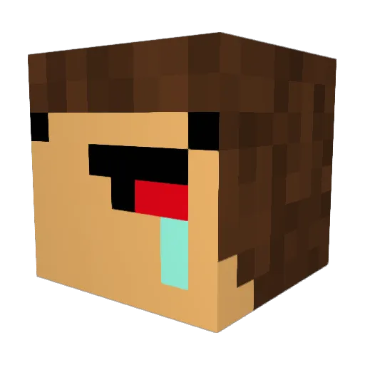 NotEnough Minecraft avatar head, 3D render