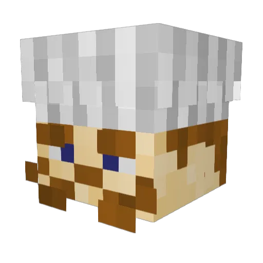 NotEnoughGarlic Minecraft avatar head, 3D render