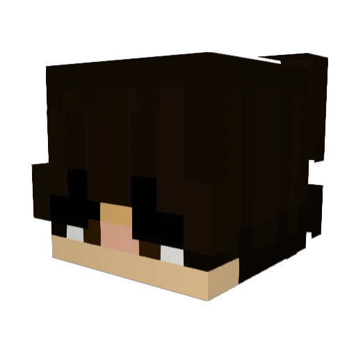 NotEpzi Minecraft avatar head, 3D render