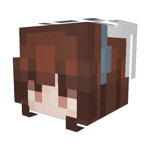 NotEvenGenesis Minecraft avatar head, 3D render