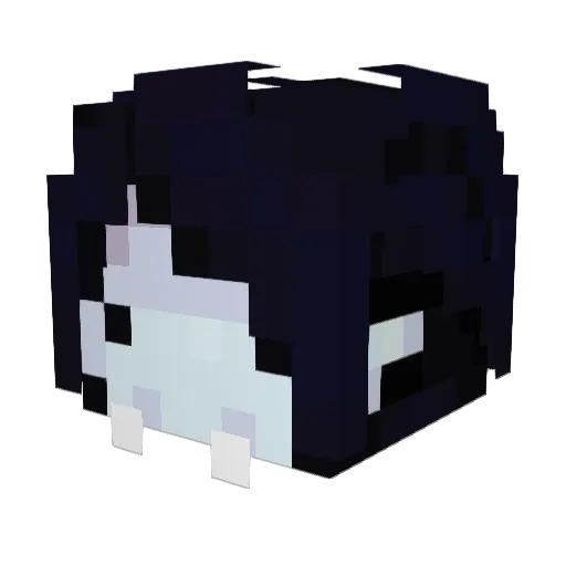 NotEvie_ Minecraft avatar head, 3D render