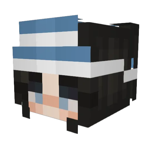 NotF6djo Minecraft avatar head, 3D render