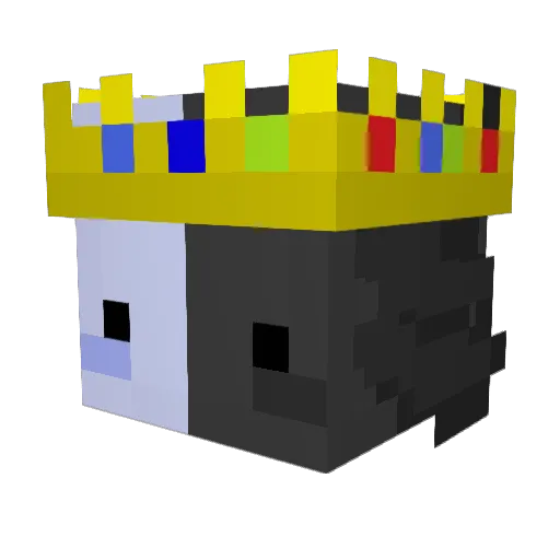 NotF9 Minecraft avatar head, 3D render