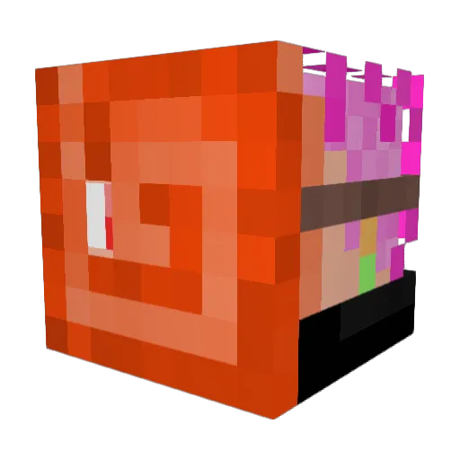 NotFANN Minecraft avatar head, 3D render