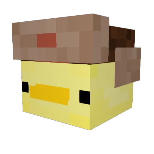 NotFelian Minecraft avatar head, 3D render
