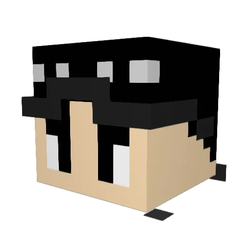 NotFelonyx Minecraft avatar head, 3D render
