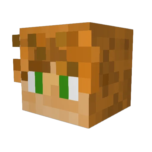 NotFlapz Minecraft avatar head, 3D render