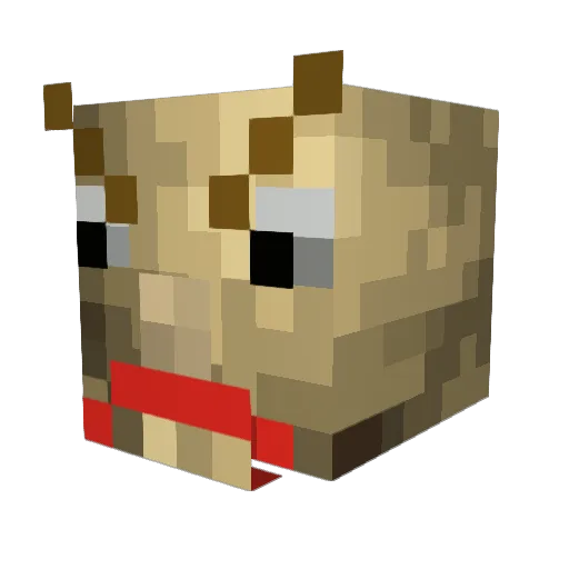 NotFrank77 Minecraft avatar head, 3D render