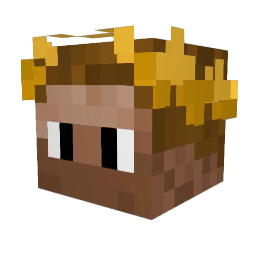 NotFromParis Minecraft avatar head, 3D render