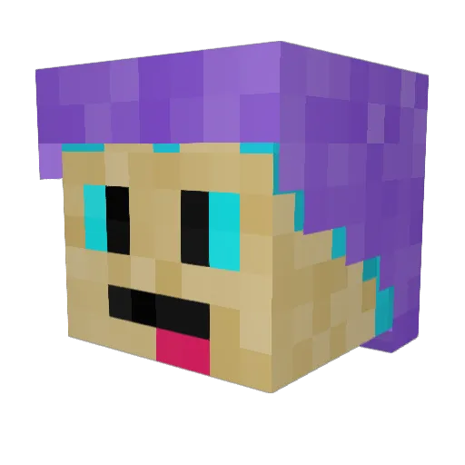 NotFrosters Minecraft avatar head, 3D render
