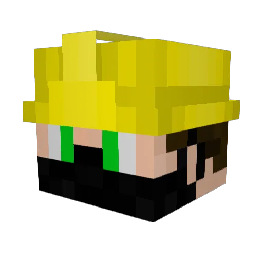 NotFruTex Minecraft avatar head, 3D render