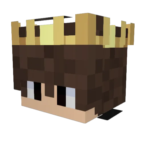 NotGamerFleet Minecraft avatar head, 3D render