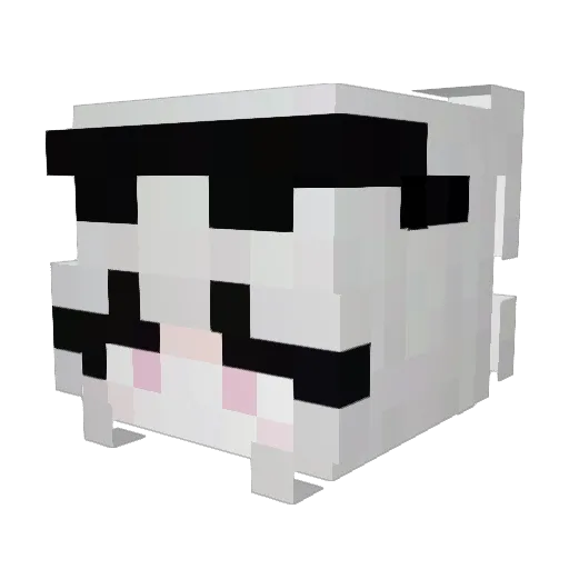 NotGamingGuestYT Minecraft avatar head, 3D render