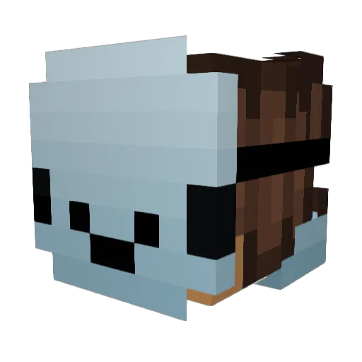 NotGamingVibe Minecraft avatar head, 3D render