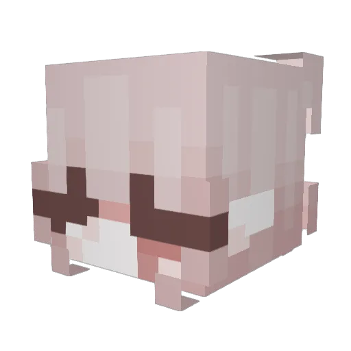 NotGlubber Minecraft avatar head, 3D render