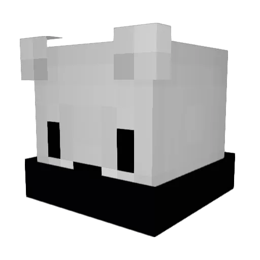 NotGoodAnough Minecraft avatar head, 3D render