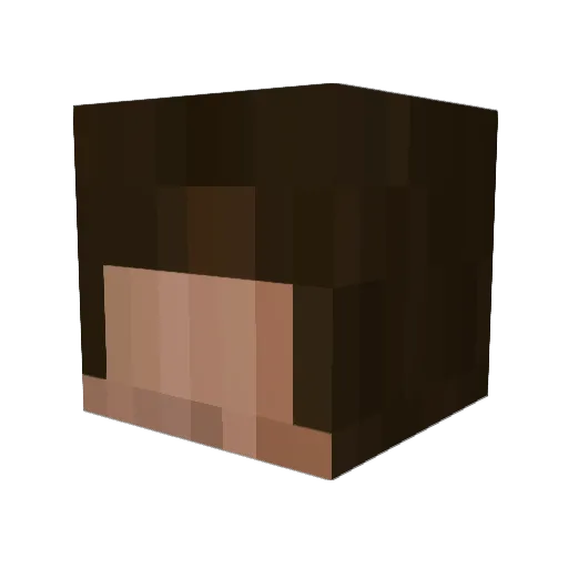 NotGoodAtGame Minecraft avatar head, 3D render