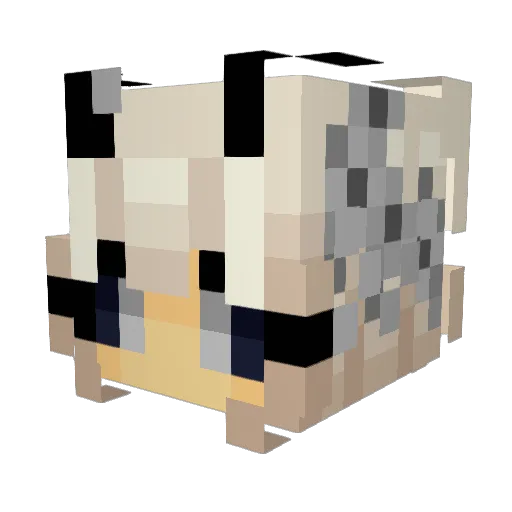 NotGuiHere Minecraft avatar head, 3D render