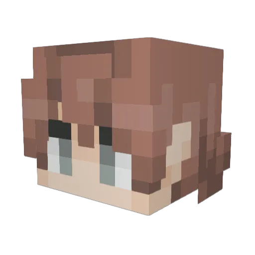 NotH3nTa1 Minecraft avatar head, 3D render