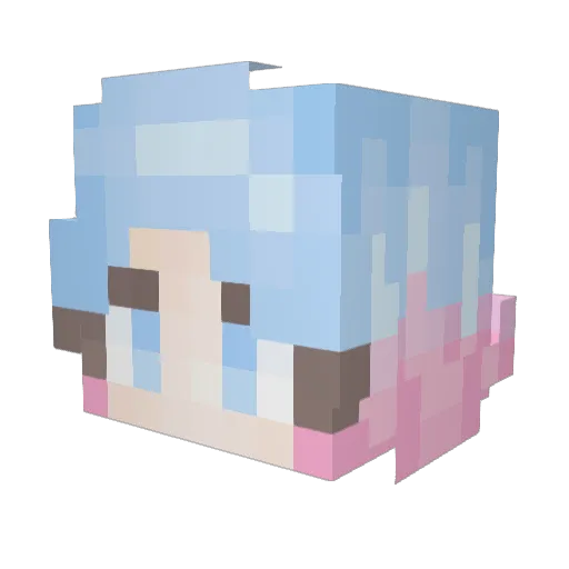 NotHealthy666 Minecraft avatar head, 3D render