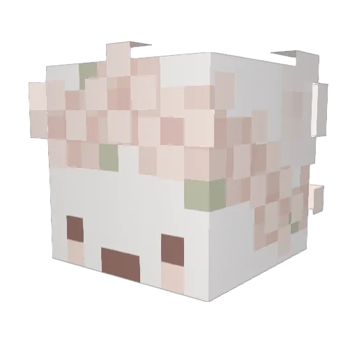 NotHerSandwich Minecraft avatar head, 3D render