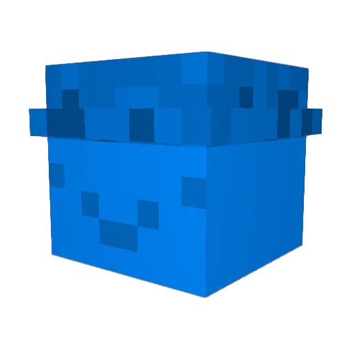 NotHimMC_ Minecraft avatar head, 3D render