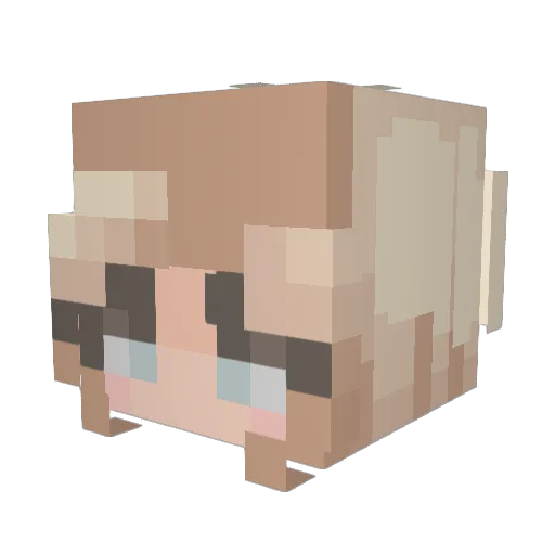 NotHugden Minecraft avatar head, 3D render
