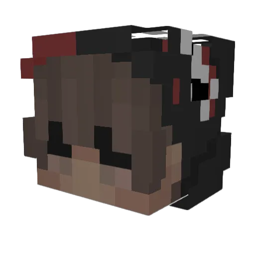 NotInMyCourtRoom Minecraft avatar head, 3D render