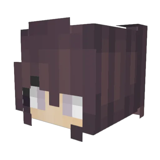 NotInkin Minecraft avatar head, 3D render