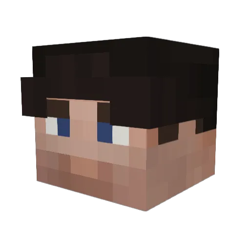 NotJake_ Minecraft avatar head, 3D render