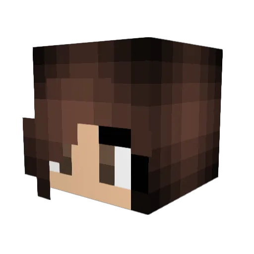NotJam1e21 Minecraft avatar head, 3D render