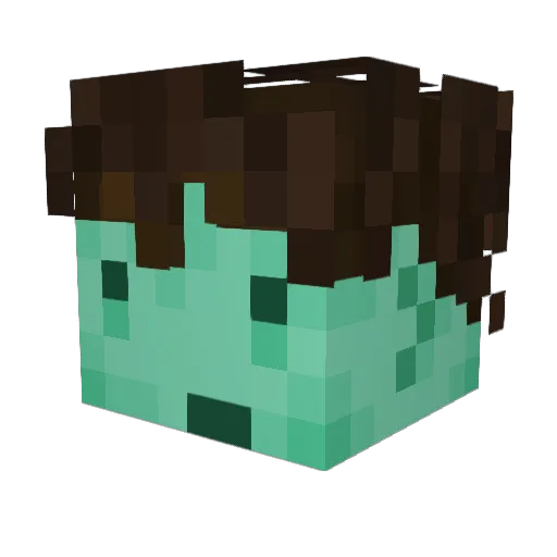 NotJanTzZ Minecraft avatar head, 3D render